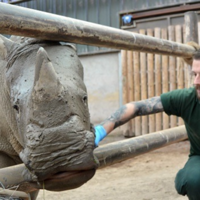 Go Wild At Blair Drummond Safari Park Thorne Travel Experience (1)