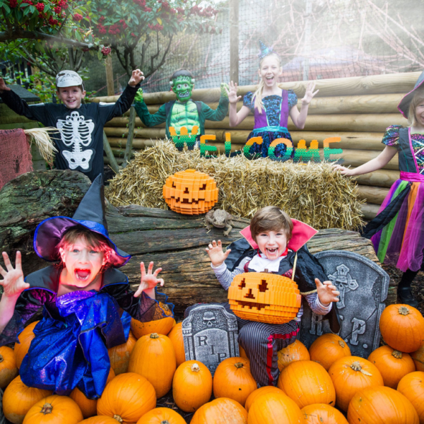 Legoland Halloween Special Thorne Travel Experience