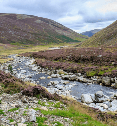 Highlands and Loch Ness - Image 3