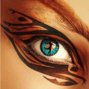 CATS The Musical - Theatre Royal Glasgow