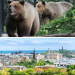 Edinburgh City and Five Sisters Zoo School Holidays Thorne Travel Experience