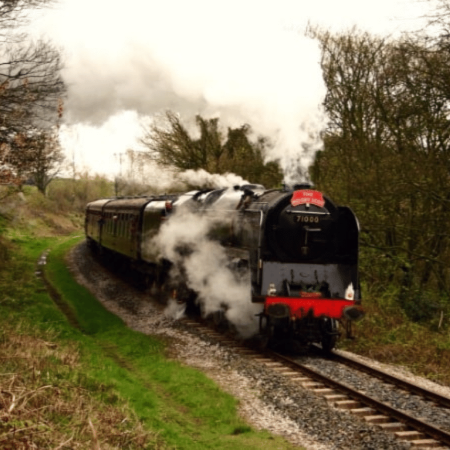 Santa Steam Special & Chester Zoo Thorne Travel Experience